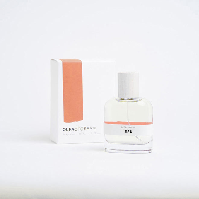 A minimalist desk with a lamp, plant, laptop, notebooks, and coffee beans.