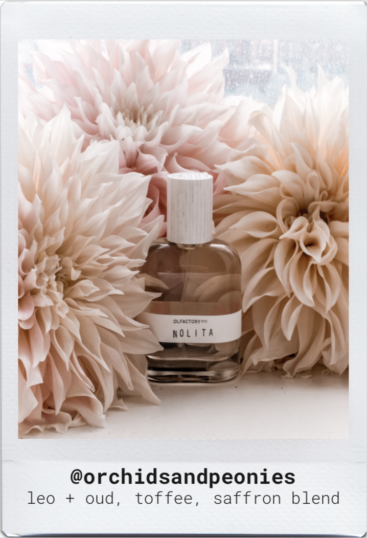Perfume nolita hotsell