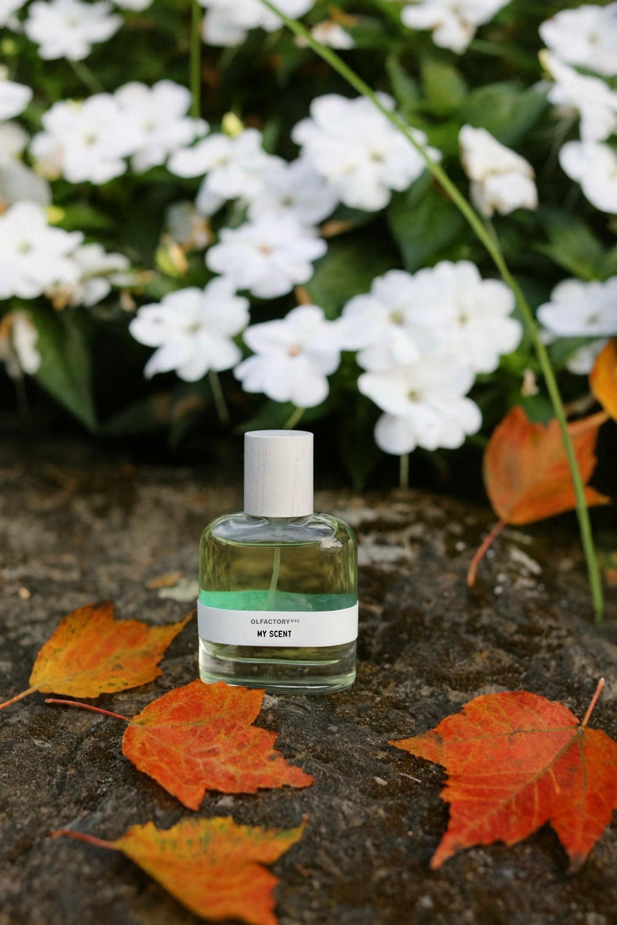 Summer to Fall Perfumes that Stand Out – Olfactory NYC