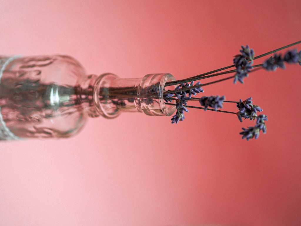 Berga-what? Mystery Fragrance Notes Explained!
