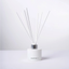 Room Diffuser